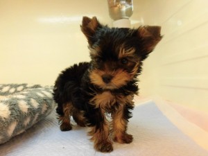 CIMG0297
