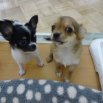 DSC05704