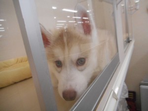 DSCN5184