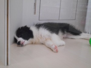 DSCN5272
