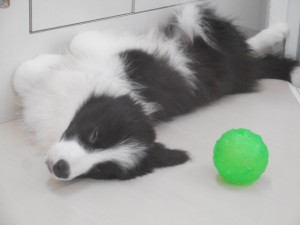 DSCN5287