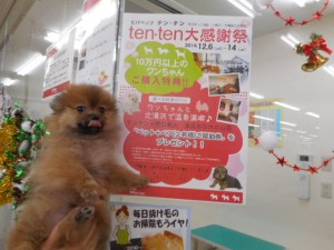 DSCN5315