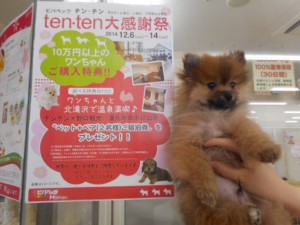 DSCN5317