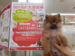DSCN5318