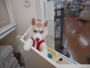 DSCN5721