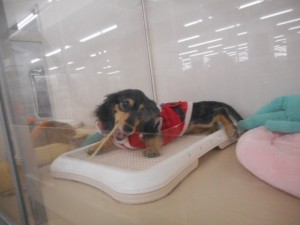 DSCN5726