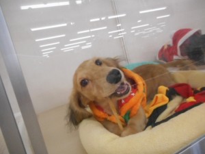 DSCN5728