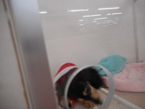 DSCN5729