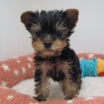 IMG_5858
