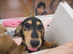 DSCN6070