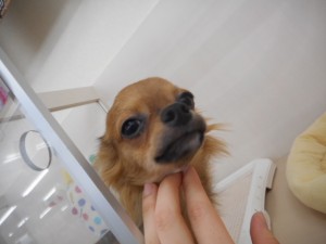 DSCN6100