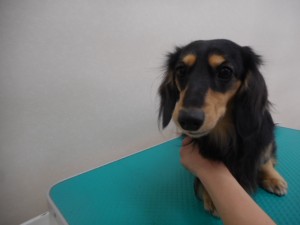 DSCN6158