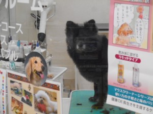 DSCN6207
