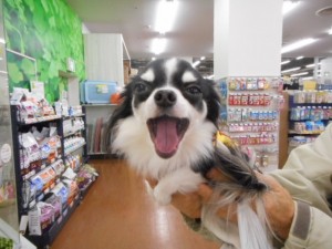 DSCN6219
