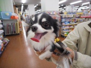 DSCN6220