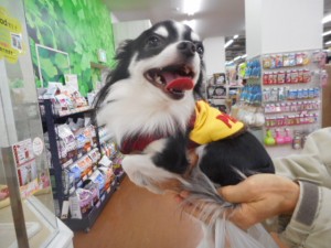 DSCN6221