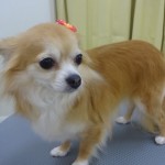 DSC02052