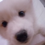 DSCN2390