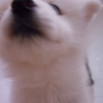 DSCN2391