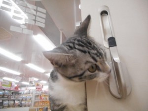 DSCN7569