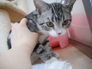 DSCN7571