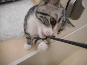 DSCN7573