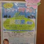 CIMG1523