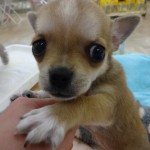 DSC07005