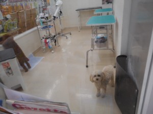 DSCN8421