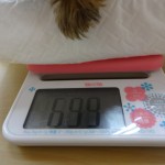 DSC07107