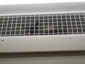 DSCN8132