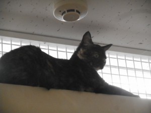 DSCN8135
