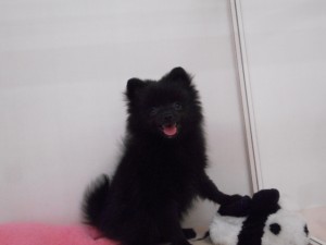 DSCN8203
