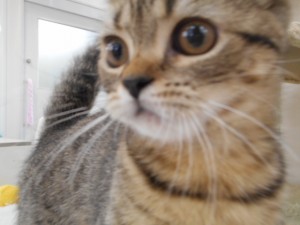 DSCN8211