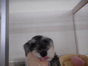 DSCN8238