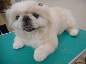 DSCN8649