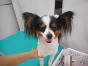 DSCN8701