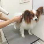 CIMG0381