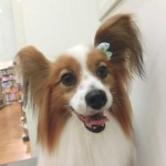 CIMG0392