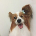 CIMG0394