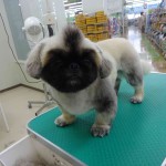 DSC08029