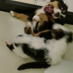 CIMG0322