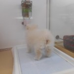DSCN7847