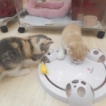 DSCN7888