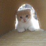 DSCN7894