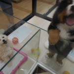DSCN7934