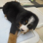 DSCN7943