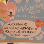 DSCN7955