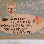 DSCN7956