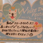 DSCN7957